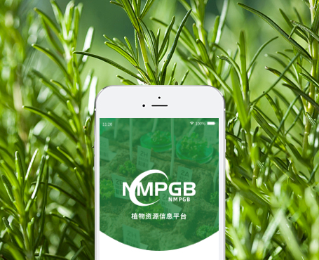 藥植所-植物資源信息平臺(tái)APP|一網(wǎng)天行-網(wǎng)站建設(shè)小程序APP系統(tǒng)軟件開發(fā)公司